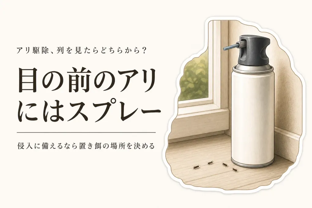家の中のアリ駆除はスプレーと置き餌のどちらから？アリの列を見たときの順番