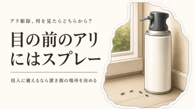 家の中のアリ駆除はスプレーと置き餌のどちらから？アリの列を見たときの順番