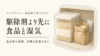 チャタテムシ駆除剤はいつ使う？食品庫と本棚で除湿・密閉容器を見直す順番