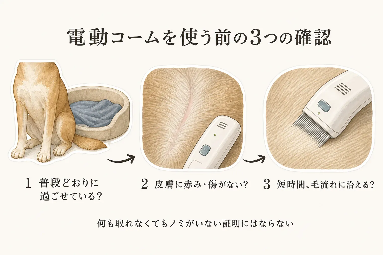 電動ノミ取りコームで被毛を確認する前後の確認点を示す図。ペットが普段どおりで皮膚に赤みや傷がなく、短時間触れても嫌がらないかを確かめ、毛の流れに沿って短時間だけ使い、ノミらしい虫や黒い粒が取れた場合は写真または密閉袋で記録する流れを描いている